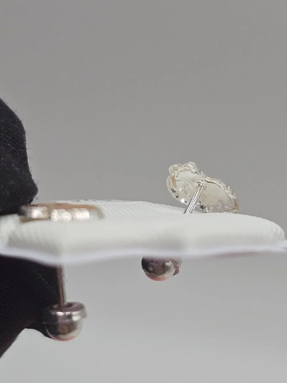 Sterling Silver 925 High Polished Capybara Screw Back Stud Earrings